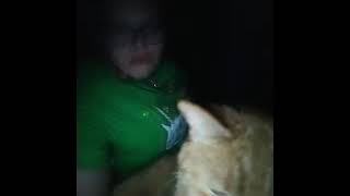 Picture of me and my male cat rusty and of the last little bit of sunset.