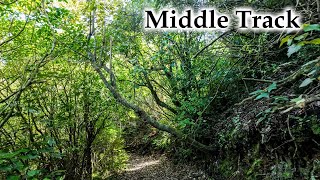 Middle Track Walk to Bracken Ridge #4k #newzealandnature #newzealand #landscape #nature