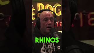 Is It Okay To Kill Rhinos?! #podcast #shortsvideo #shorts #joerogan