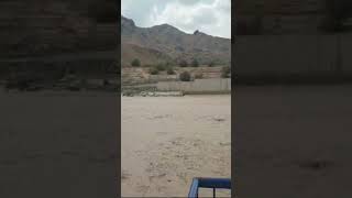 Safi Kot weir, Zhob River, Monsoon Rainfall Flooding, Irrigation Dept Balochistan #zhob #flooding