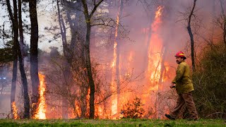 BRUSH FIRE AIR TANKER Drops Manchester New Jersey 4/21/24