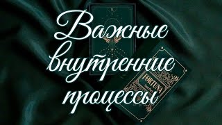 🌿 ВАЖНЫЕ ПРОЦЕССЫ, КОТОРЫЕ СЕЙЧАС С ВАМИ ПРОИСХОДЯТ 🌿