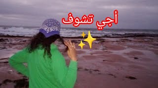 واش عجبكم المنظر 🌞من شاطئ البدوزة باسفي 🇲🇦 عشاق الهدوء والبحر 🌊🫶