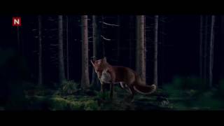 Ylvis-The Fox What Does The Fox Say (Official music video HD)