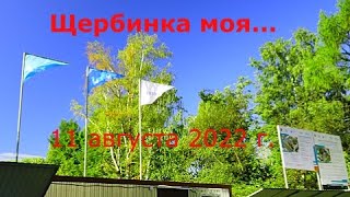 Щербинка. 11 августа 2022 г.