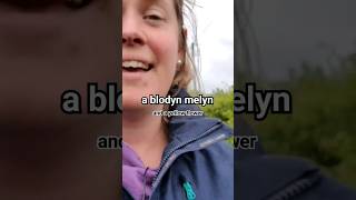 Spotting #flowers 🌼🌸 in #welsh 'blodau' 💐 #colours #vlog #amdro