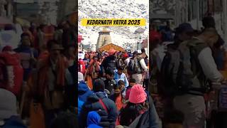 Day 013 Kedarnath Yatra 2023 | #kedarnath #kedarnathtemple #viral #shortvlog #minivlog #shorts