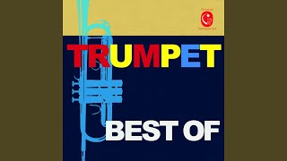 Trumpet Concerto in D Major: II. Allegro