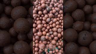 Clay Pebbles Leca Believers - Washed & Infused with GT CCS Leca