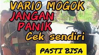 VARIO karbu tiba tiba mati mendadak