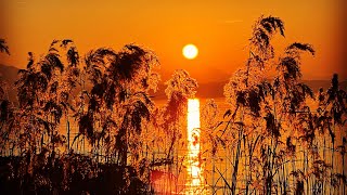 Chiemsee Sundowner