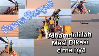 Mancing Dasaran panen ikan tompel