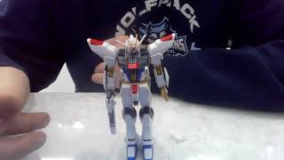 Strike Freedom Breakage