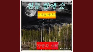 열 대 해변에서 모닥불: 자연의 소리 (Bonus Track)