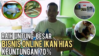 RAIH UNTUNG JUTAAN DARI JUALAN ONLINE IKAN HIAS || MODAL SEDIKIT UNTUNG SAMPAI 70 %