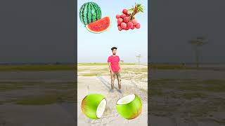 Rounding coconuts to Grapes, Mango, lichi & Watermelon - Fruits names magic video 😁