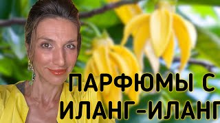 ЛУЧШИЕ ПАРФЮМЫ С ИЛАНГ-ИЛАНГОМ | ОТПУСКНЫЕ АРОМАТЫ 🍸🏝️🌺🍋☀️