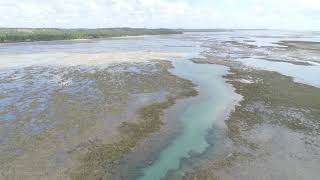 Drone com a Maré  Baixa. na praia de  são Miguel dos Milagres, Maceió AL