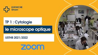 TP 1 : cytologie le microscope optique 🔬 séance zoom (partie 2)