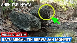 NGERI  !! inilah sosok  batu ajaib berwajah hewan monyet.