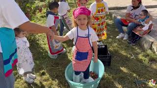 Canicattì, I.C. Rapisardi: “Vendemmia” per i bimbi della scuola dell’infanzia