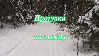 Лесная прогулка на лыжах