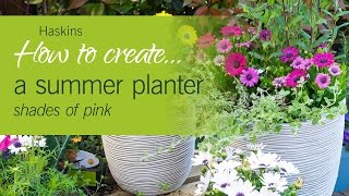 How to create a summer planter - shades of pink - Haskins how to #3