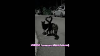 LOBODA Супер звезда (slowed-reverd by meow)