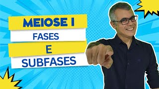 MEIOSE I - FASES E SUBFASES / Prof Baraúna