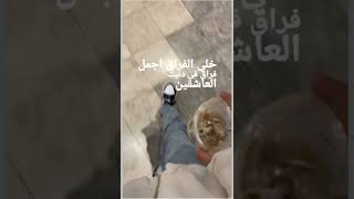 خلي الفراق اجمل فراق🫶🏻💥||مو وقتي الحين انزل هههه😭😭😭