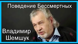 Поведение Бессмертных.  Владимир Шемшук