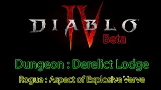 Diablo 4 Beta : Dungeon : Derelict Lodge