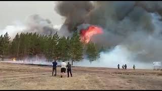 Лесные пожары на Южном Урале