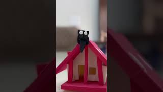 Houses you must see! #kids #kidsvideo #lego #diycrafts