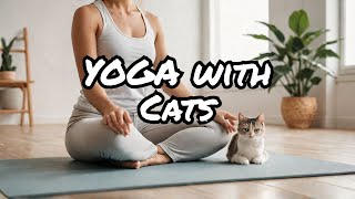 🔴 Cat Yoga - Practicing Yoga with Your Feline Friend