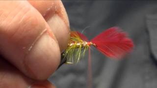 The blood olive By Lawrence Finney of Finneys Flies