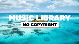 BraveLion - Summer Feeling (Vlog No Copyright Music)