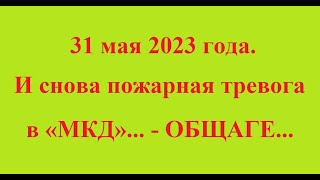 31 мая 2023 года. И снова пожарная тревога в «МКД»... - ОБЩАГЕ...