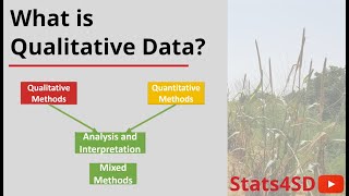 What is Qualitative Data?