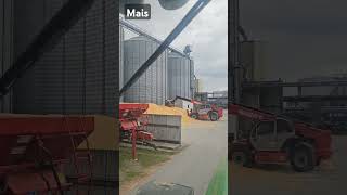 #riccic #farmvlog #farming #manitou #landwirtschaft