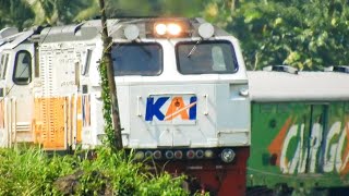 Berburu Kereta di Hamparan Sawah ( Ada yang Istimewa)