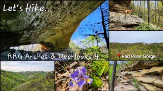 RRG Arches & Overlooks 4 - Star Gap Arch & Double Arch - Red River Gorge - Kentucky - 4/23/24