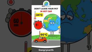 DON'T LEAVE YOUR PET IN HOT CAR #shorts