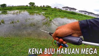 Haruan Gabus Mega Buli Aku | Ultralight Fishing