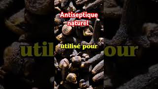 Antiseptique naturel #santé #cloudegirofle #Antiseptique #shortvideo #short