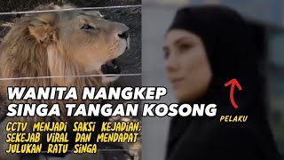 Baginya hanya kucing besar😂