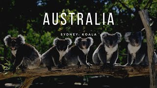 DIARIO DE VIAJES: Australia 1º contacto