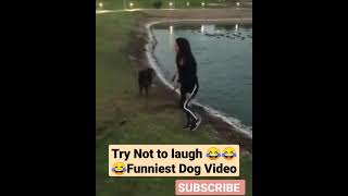 Try Not To laugh 😂😂Funniest Dog Video #dog #dogvideo #doglove #dogvideos