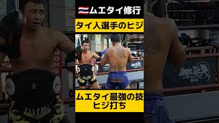 タイ人選手のヒジ打ち！ミット練習 #キックボクシング #ムエタイ #格闘技