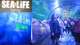 SEA LIFE AQUARIUM SYDNEY 2024